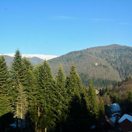 Grandpa'S Hidden Crib, 6 Bedroom, Pet Friendly Sinaia Zewnętrze zdjęcie