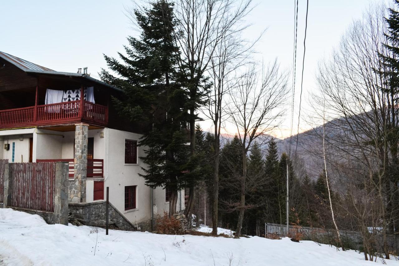 Grandpa'S Hidden Crib, 6 Bedroom, Pet Friendly Sinaia Zewnętrze zdjęcie