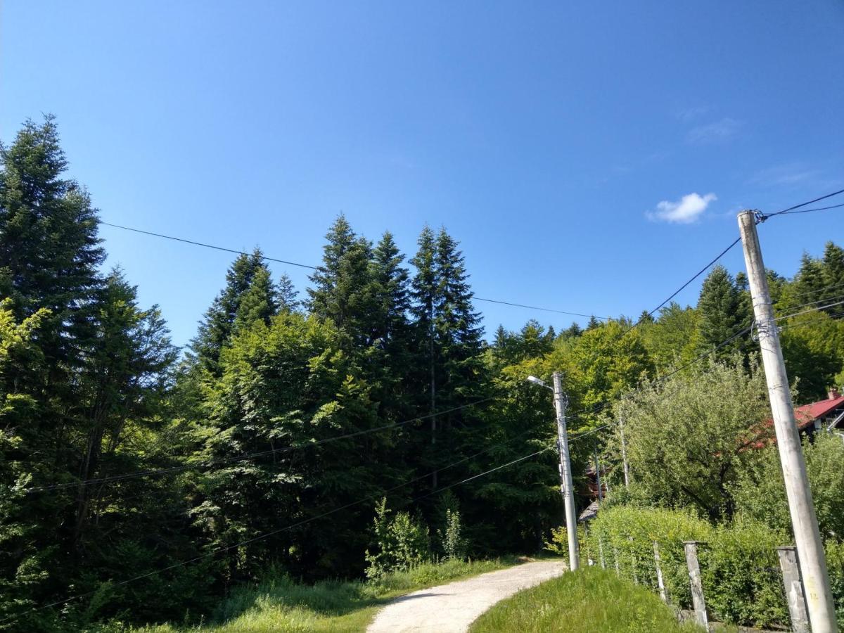 Grandpa'S Hidden Crib, 6 Bedroom, Pet Friendly Sinaia Zewnętrze zdjęcie