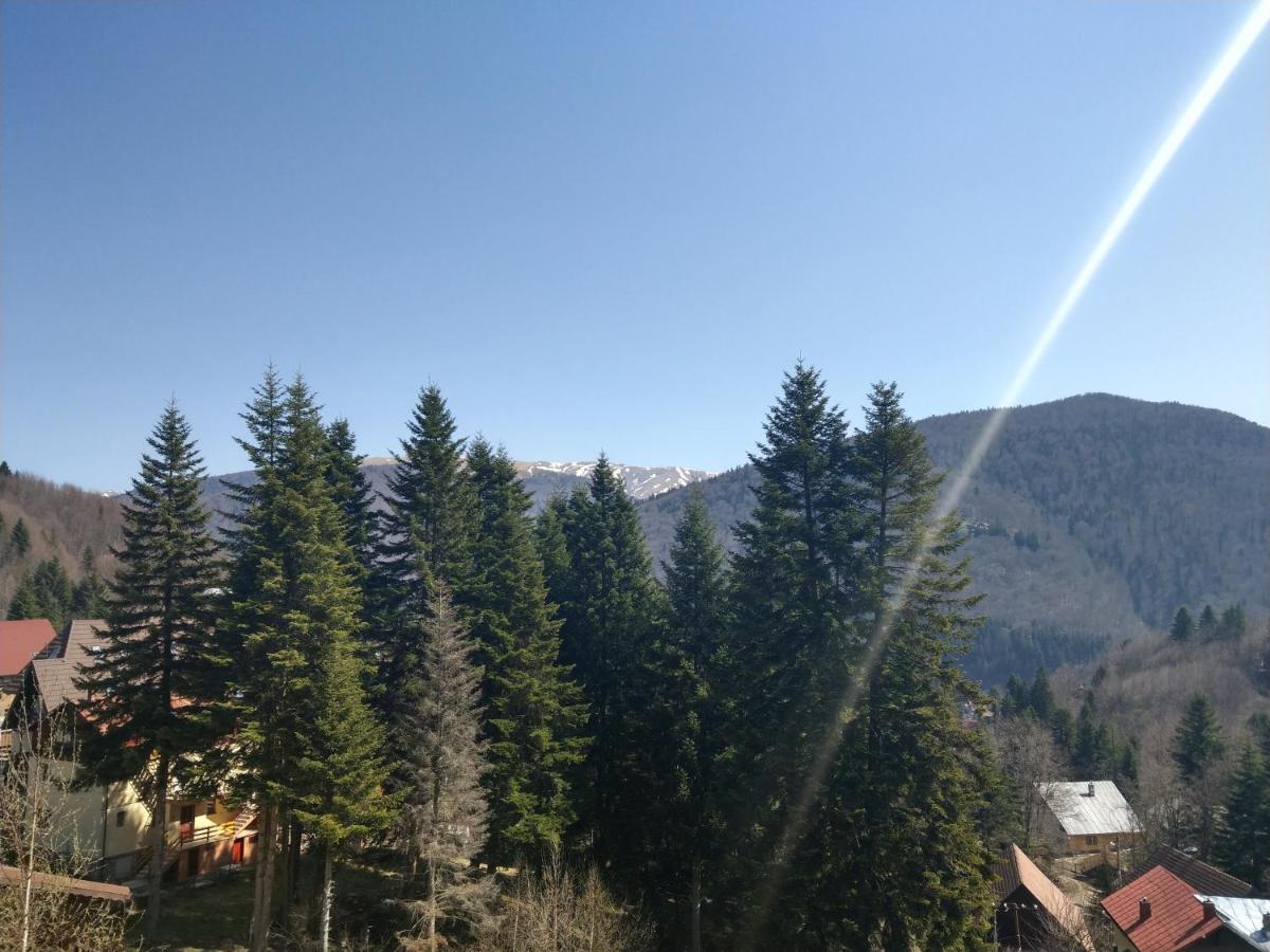 Grandpa'S Hidden Crib, 6 Bedroom, Pet Friendly Sinaia Zewnętrze zdjęcie
