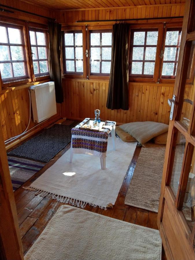 Grandpa'S Hidden Crib, 6 Bedroom, Pet Friendly Sinaia Zewnętrze zdjęcie