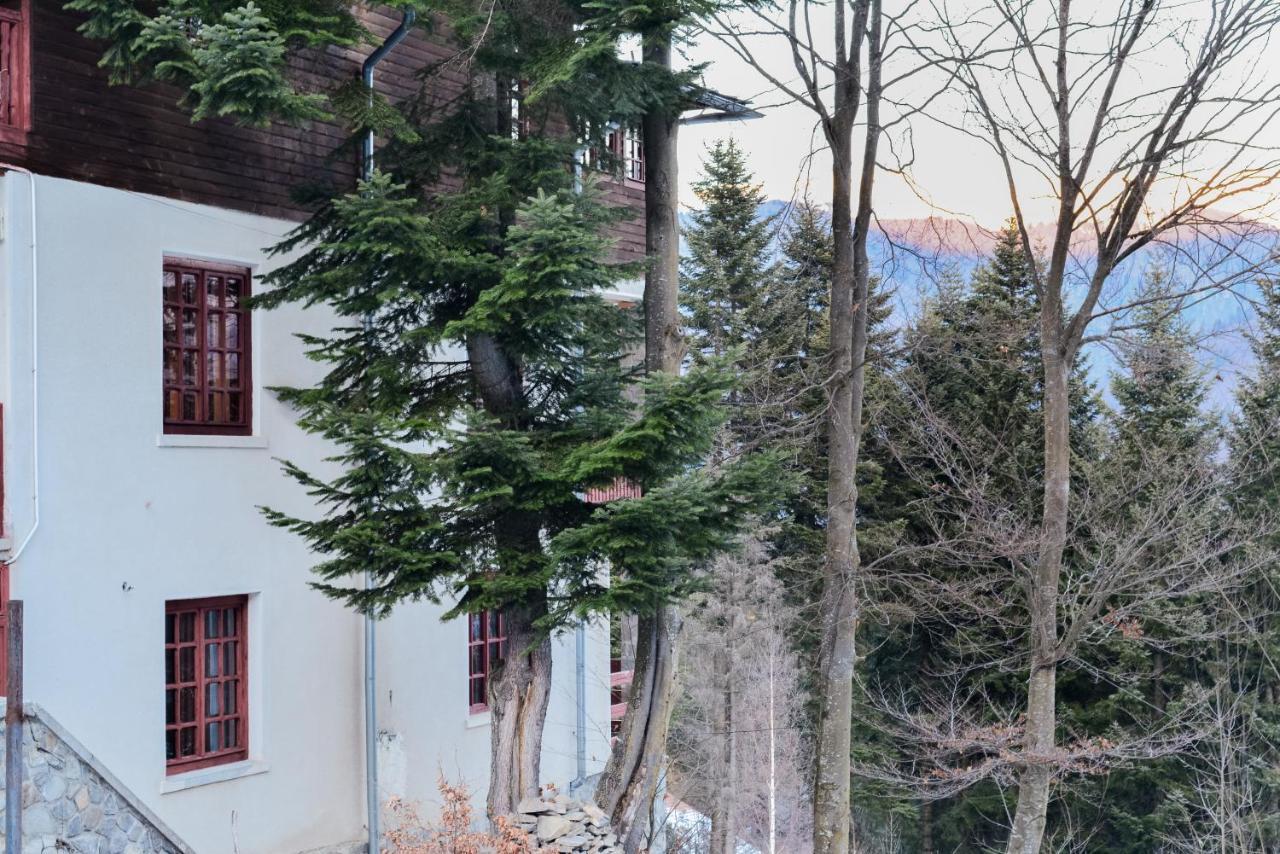 Grandpa'S Hidden Crib, 6 Bedroom, Pet Friendly Sinaia Zewnętrze zdjęcie