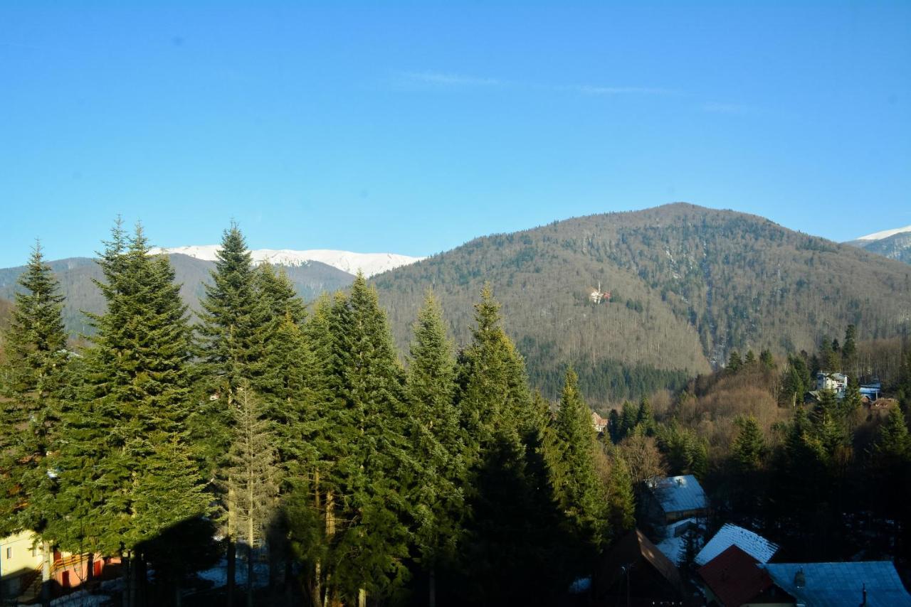 Grandpa'S Hidden Crib, 6 Bedroom, Pet Friendly Sinaia Zewnętrze zdjęcie