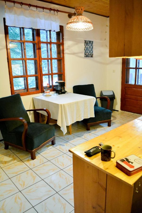 Grandpa'S Hidden Crib, 6 Bedroom, Pet Friendly Sinaia Zewnętrze zdjęcie