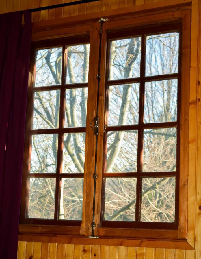 Grandpa'S Hidden Crib, 6 Bedroom, Pet Friendly Sinaia Zewnętrze zdjęcie