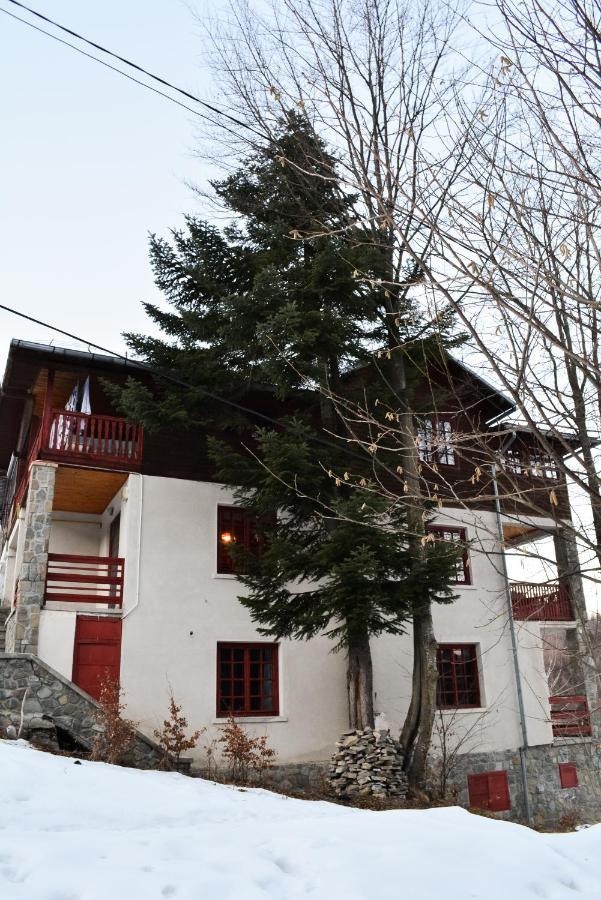 Grandpa'S Hidden Crib, 6 Bedroom, Pet Friendly Sinaia Zewnętrze zdjęcie