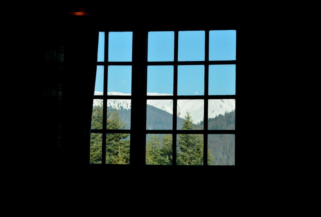 Grandpa'S Hidden Crib, 6 Bedroom, Pet Friendly Sinaia Zewnętrze zdjęcie